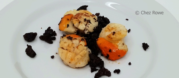 Scallops and black pudding
